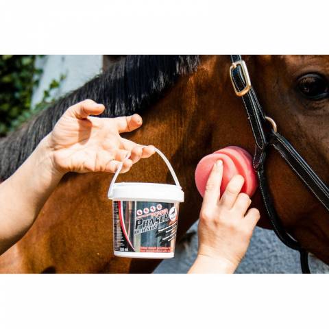 Anti-mouches répulsif Power Phaser Durativ - Leovet