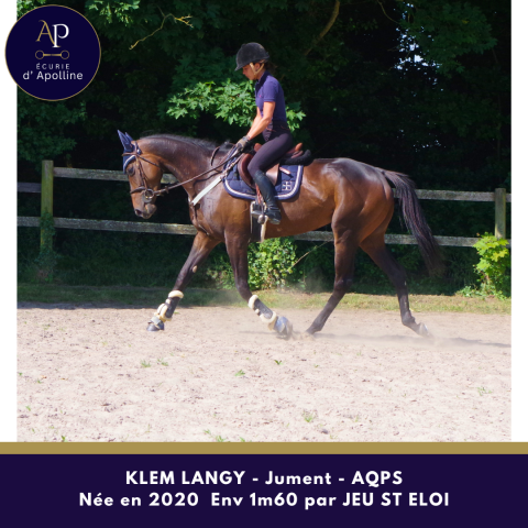 Jolie jument aqps par jeu st eloi