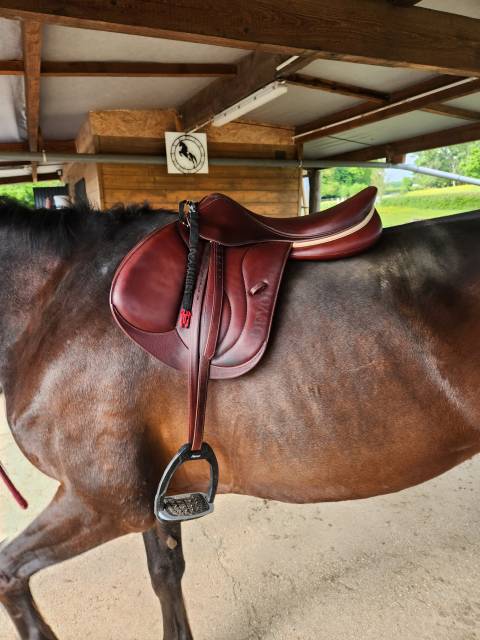 DEVOUCOUX BIARRITZ O 3 AAB Havane