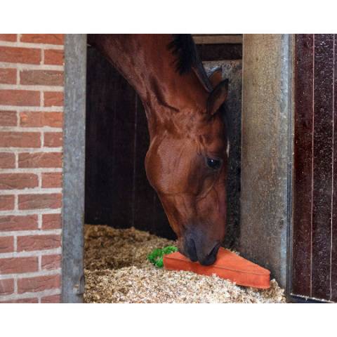 Jouet de boxe xl carotte - QHP - suède, fibre de coco