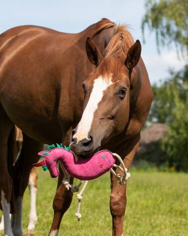 Jouet de box licorne - QHP - suède, fibre de coco