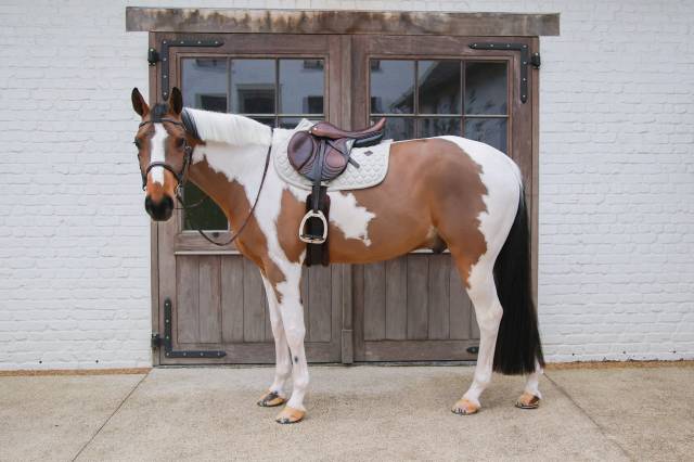 Tapis de selle mélange orange - Kentucky - confort et respirabilité