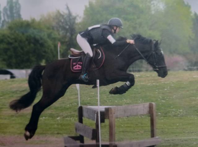 Poney pfs 6ans pour cce