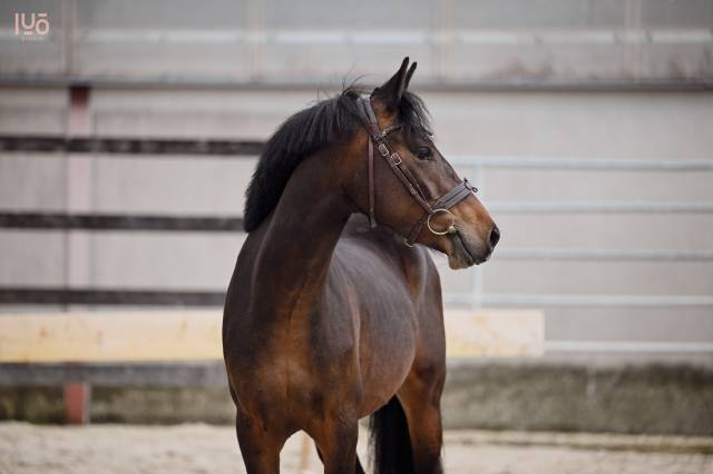 3 ans à vendre