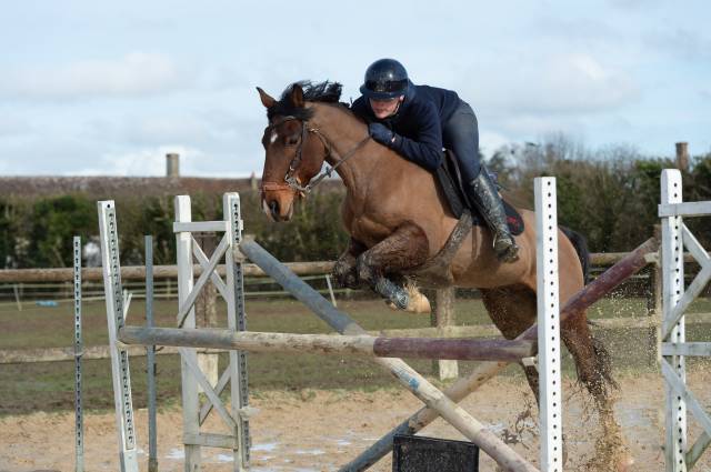 Cheval à vendre Magnifique hongre bai clair