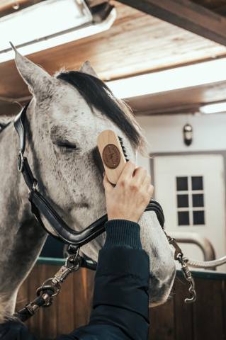 Brosse de t&ecirc;te Borstiq - fibres polypropyl&egrave;ne, manche en bois