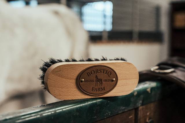 Brosse de tête Borstiq - fibres polypropylène, manche en bois