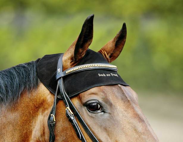 Protège nuque Back On Track - Prévention cervicale