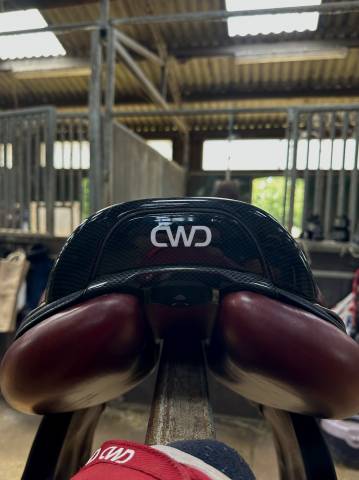 CWD 2Gs 2024 