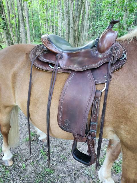 Selle Western Continental