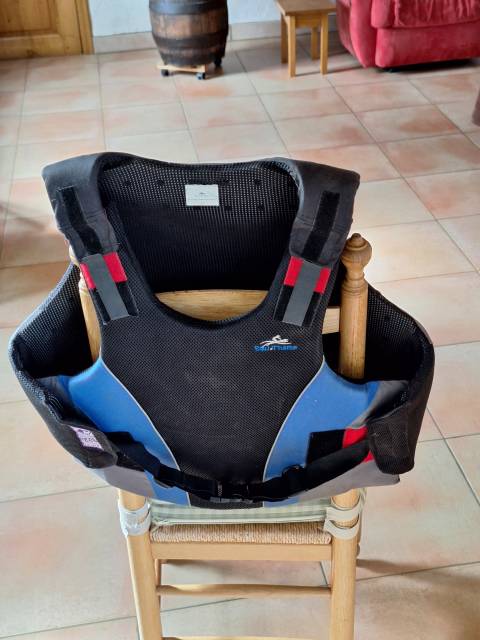 A V protection dorsale pour meneur attelage