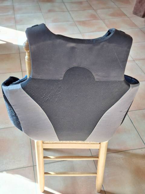 A V protection dorsale pour meneur attelage