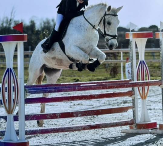 HONGRE CSO LOISIRS