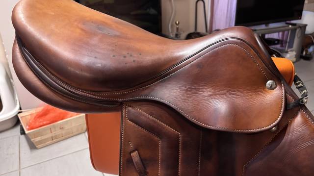 selle renaissance plate 17,5