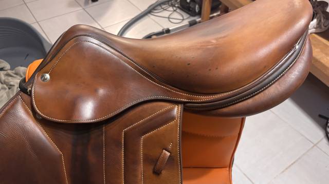 selle renaissance plate 17,5