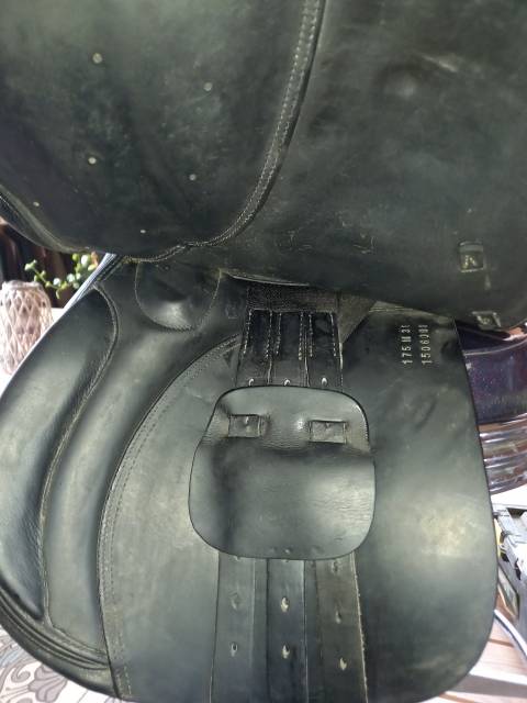 Selle Ikonic obstacle noire 2015