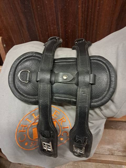 Sangle anatomique Childeric dressage 