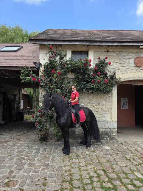 Selle dressage ÉQUIPE WIKTORIA 17,5