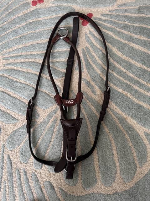 Martingale élastique CWD