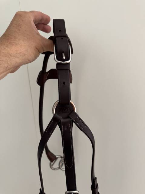 Martingale élastique CWD