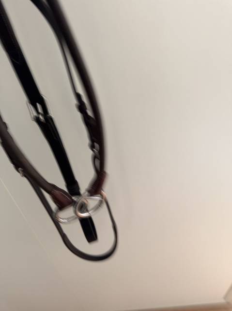 Martingale élastique CWD