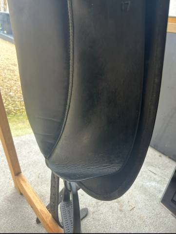 selle forestier dressage 