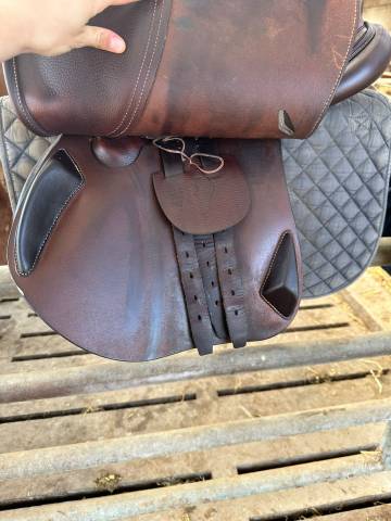 Selle Antares Connexion (17.5) 2024