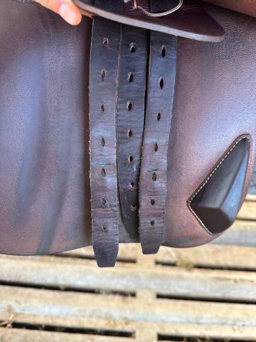 Selle Antares Connexion (17.5) 2024