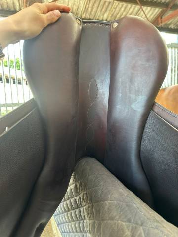 Selle Antares Connexion (17.5) 2024