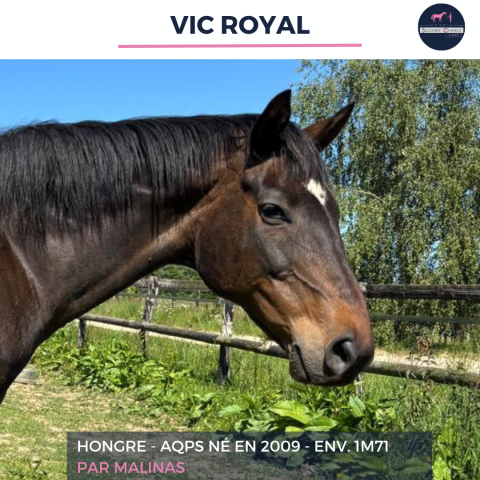 VIC ROYAL - AQPS - 16 ANS