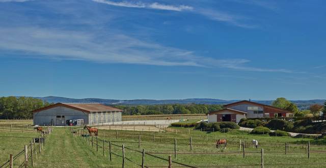 Pension chevaux 