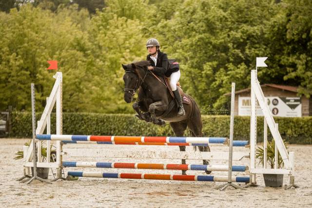 Poney de 4 ans facile et gentil au travail