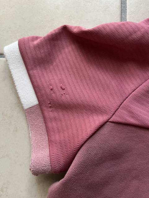 Polo horse pilot rose 