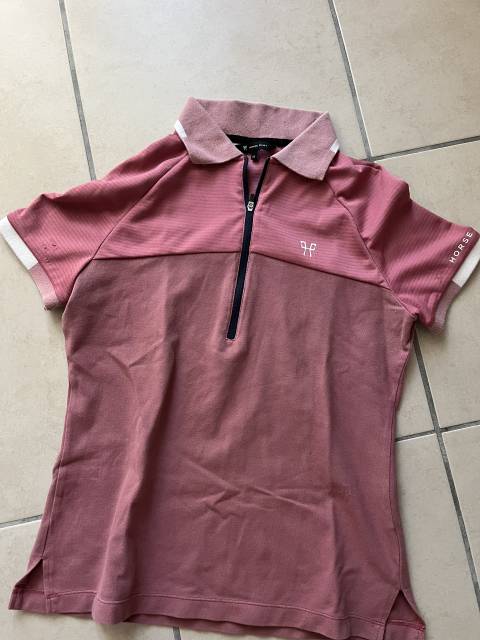 Polo horse pilot rose 