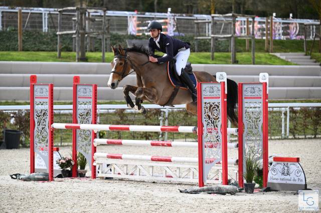 À VENDRE – GYPSY DU CHESNEE Jument de concours 9ans 