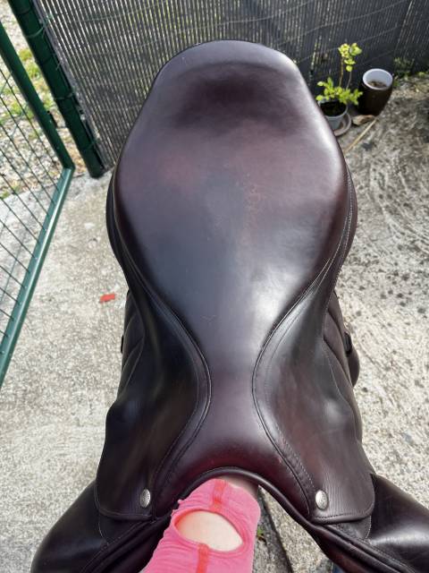 Selle forestier mono quartier 