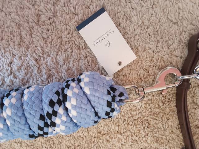 Licol en cuir Norton et longe equitheme 