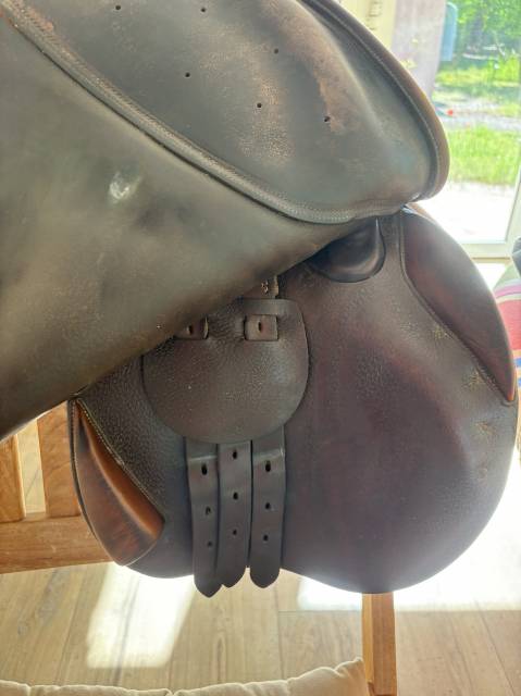 Selle Delgrange Partition 