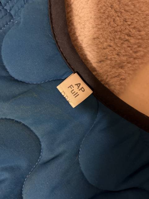 Tapis equitheme bleu roi