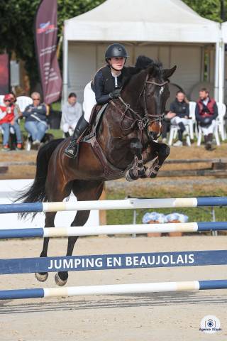 Jument CSO 8 ans