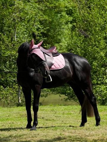 Tapis de selle love rose - gem