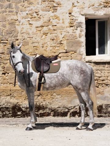 Tapis de selle spécial édition 10 ans - GEM - Matelassage en V