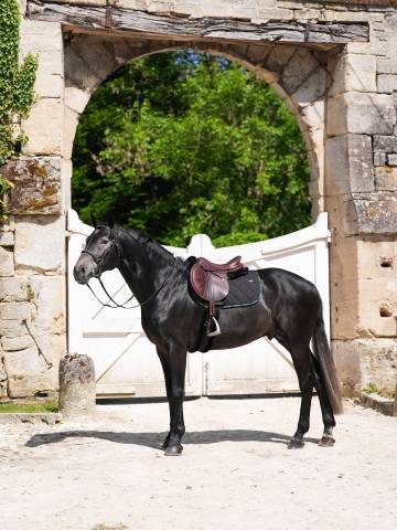 Tapis de selle love - GEM - ultra-respirant 200g