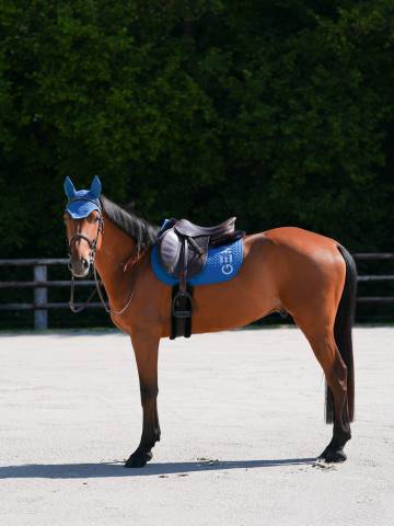 Tapis de selle Ten - gem - matelassage en v