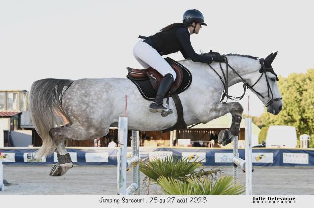 A vendre cheval amateur élite