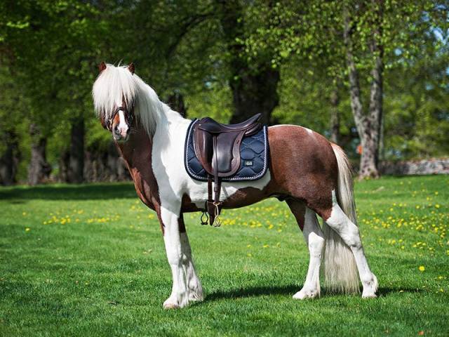 Tapis de selle midnight blue - equestrian stockholm - tissu déperlant