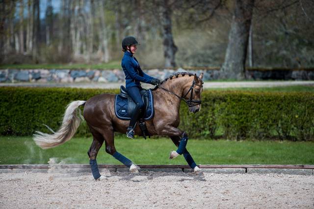 Tapis de selle midnight blue - equestrian stockholm - tissu déperlant