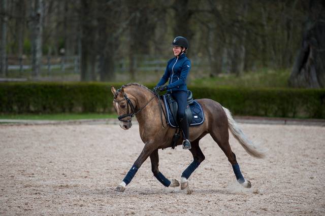 Tapis de selle midnight blue - equestrian stockholm - tissu déperlant