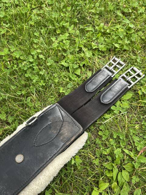 Sangle mouton canter 