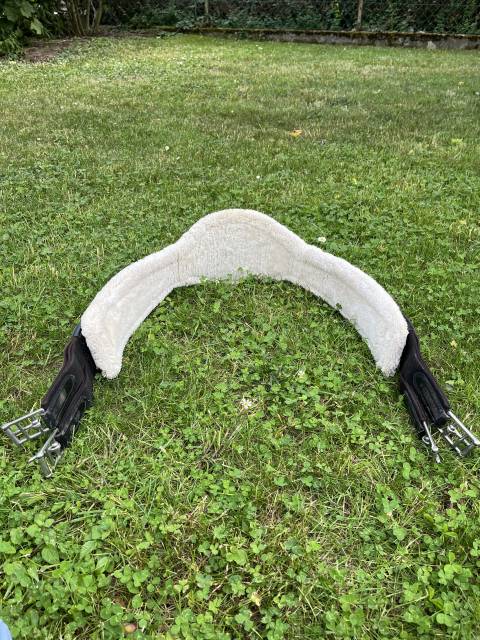 Sangle mouton canter 